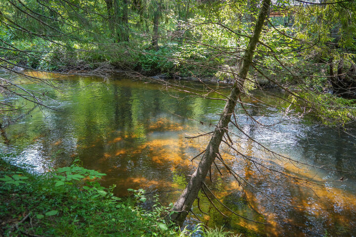 Property Photo: 5118 N Raymond Road MI 49656