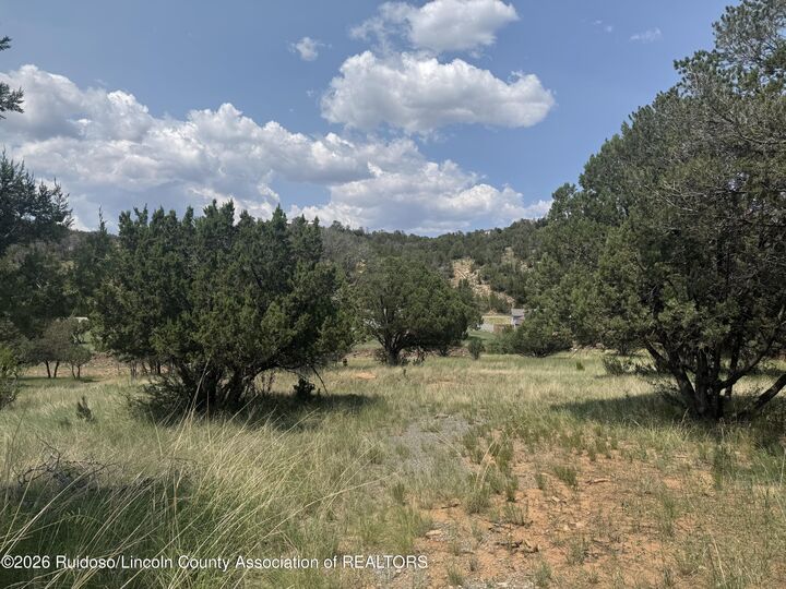Property Photo:  118 Cowboy Court  NM 88312 