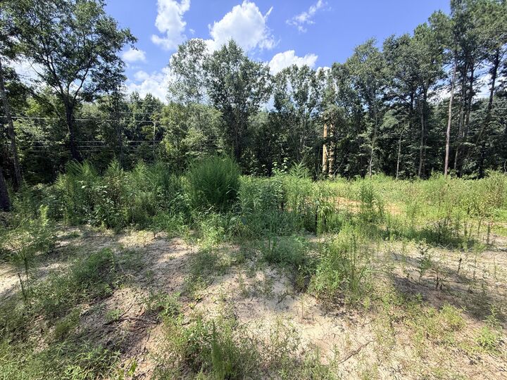 Property Photo: 40 Crowndale Court SC 29150