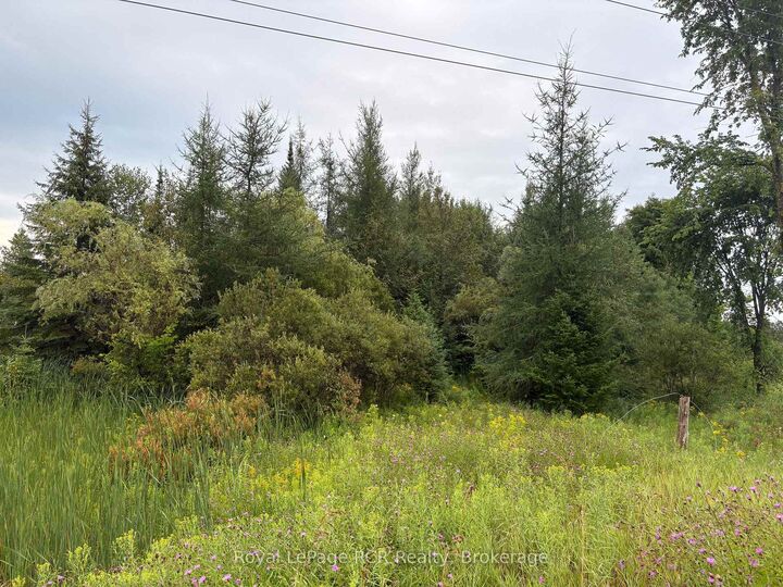 Property Photo:  Pt Lt 13 Grey Road 4 N/A  ON N0C 1K0 