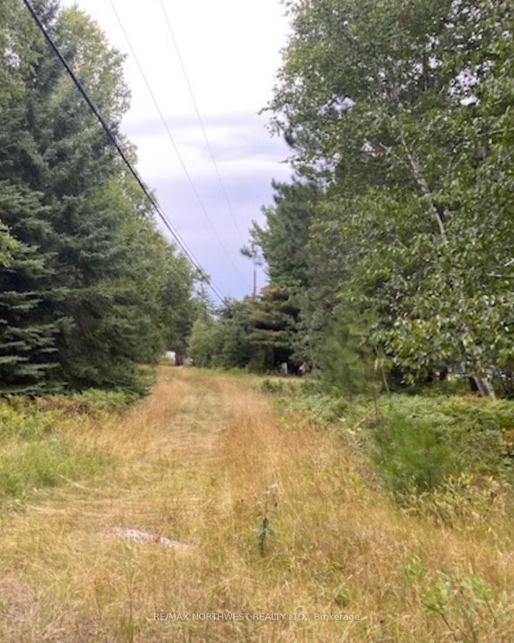 Property Photo: Gaye Street ON P9N 0A8