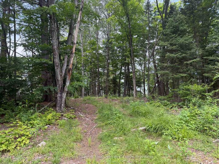 Lot 10 Con 3 Gurd Twp Rye Road/Granite Hill Road — photo 1