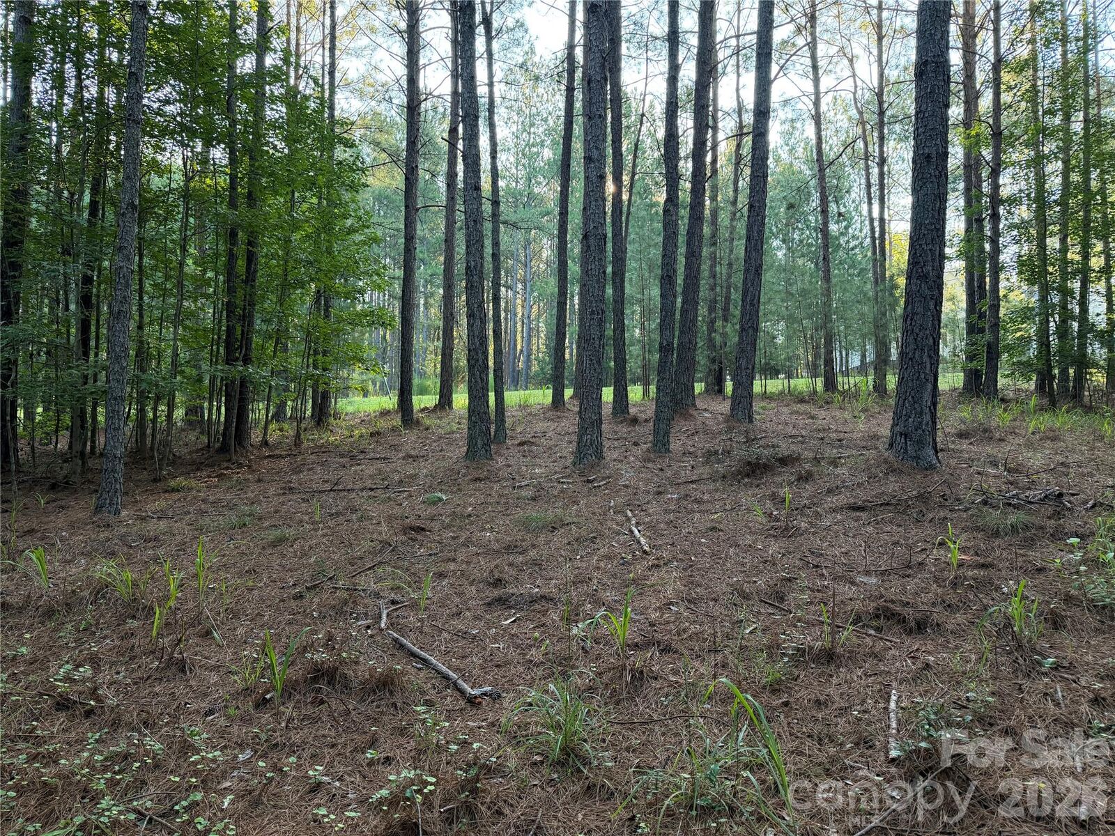 Property Photo:  108 Whispering Pines Lane  NC 28114 