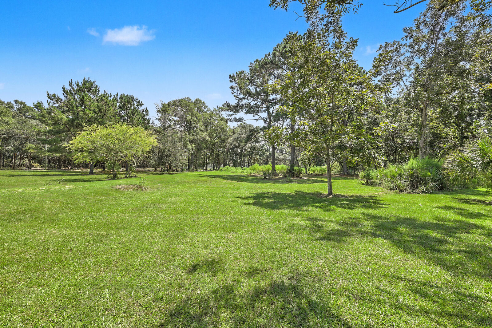 Property Photo: 912 Brown Creek Road SC 29438