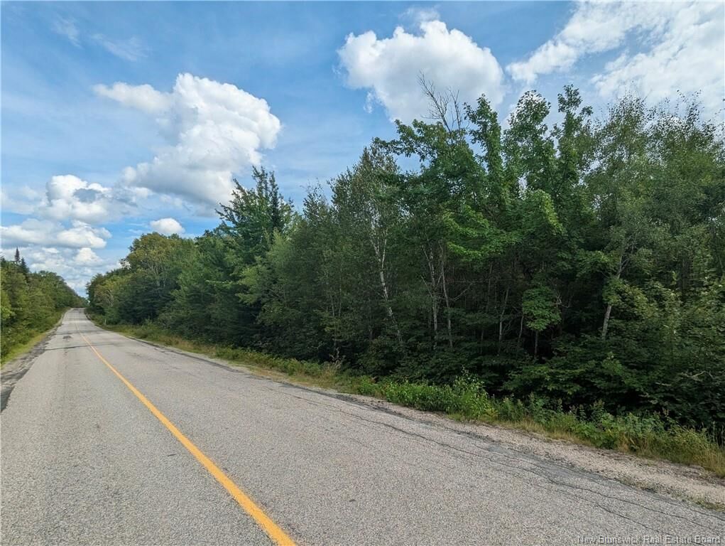 Property Photo:  47 Acres North Barnaby Road  NB E1N 6G4 