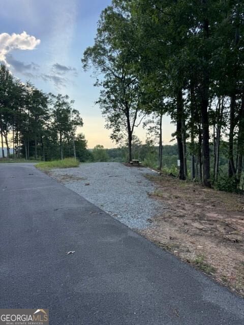 Property Photo: 290 Eagle View Dr - Lot #20 GA 30540