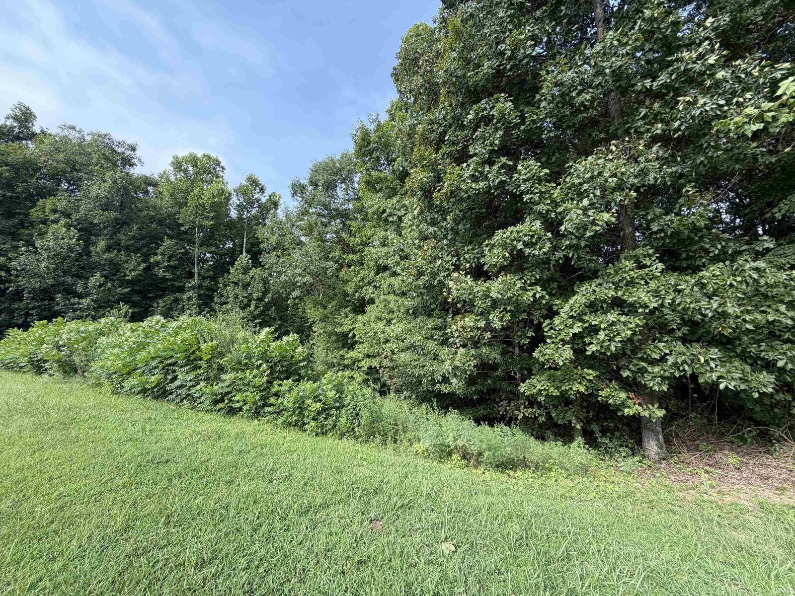 Property Photo:  00 St Rd 257 Highway  IN 47590 