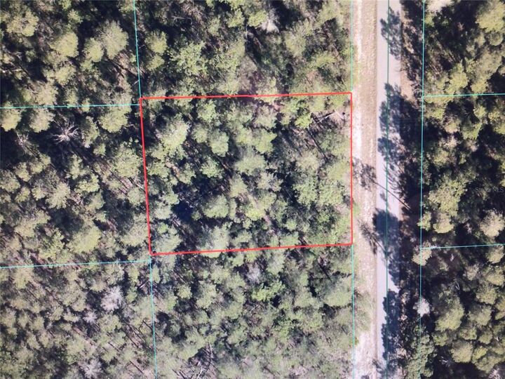 Property Photo:  0 SW 35 Terrace Road  FL 34473 