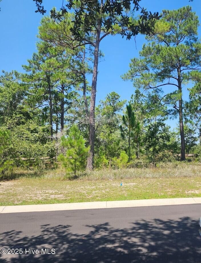 Property Photo: 551 35 Glitter Bay Loop NC 28470