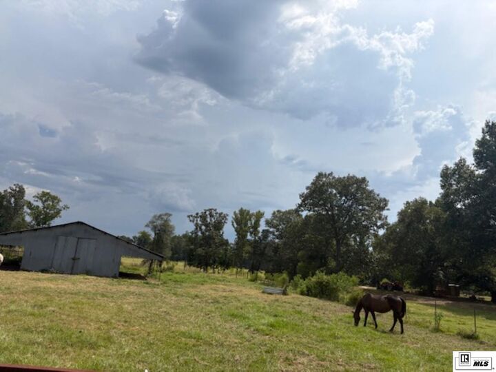 Property Photo: 0 Yeldell Road LA 71220