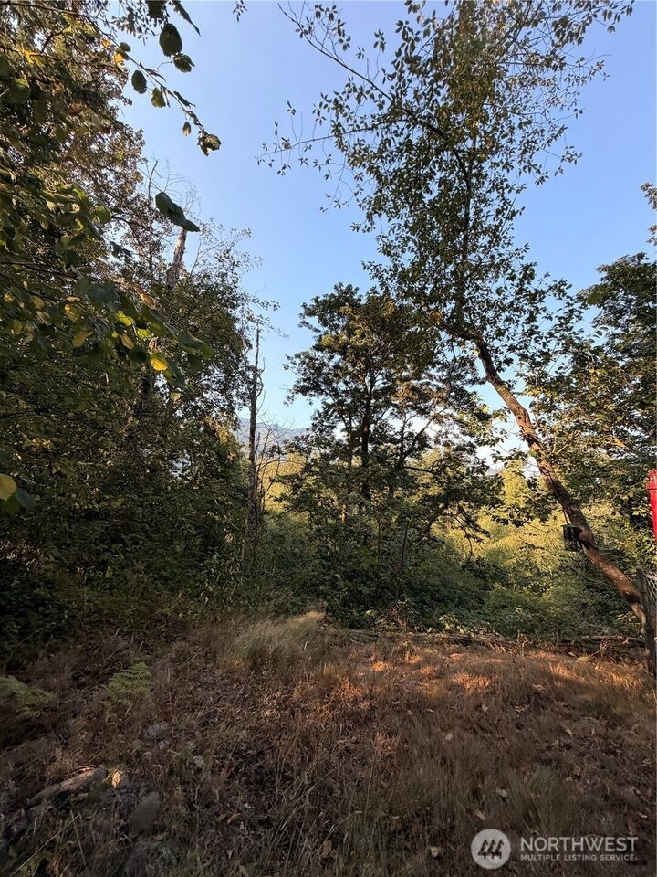 Property Photo:  15620  Goldbar Drive  WA 98251 
