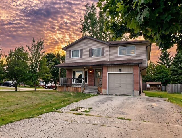 56 Edward Street — photo 1