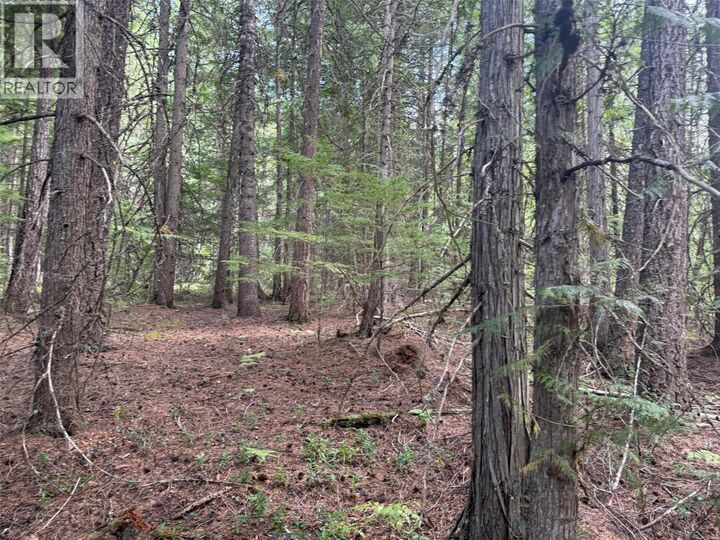Property Photo:  Claybrick Road  BC V0G 2J0 