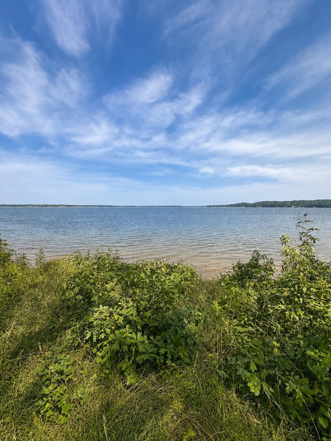 Property Photo: 17964 Lookout Lake Circle TX 75762