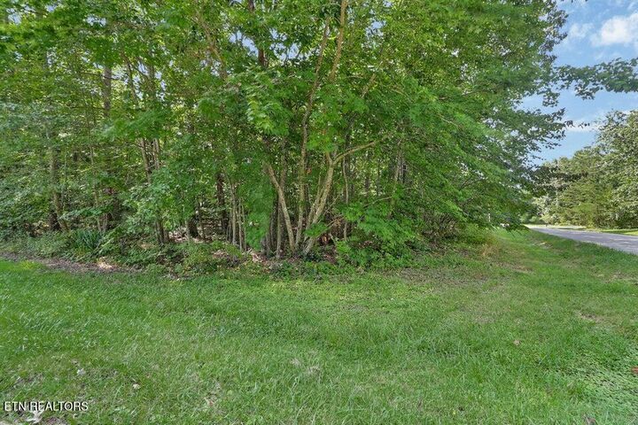 Property Photo:  228 Pomeroy Drive  TN 38558 