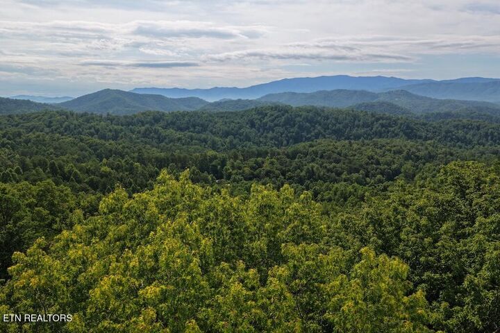Property Photo:  Lot 26 Shady Oaks Way  TN 37876 