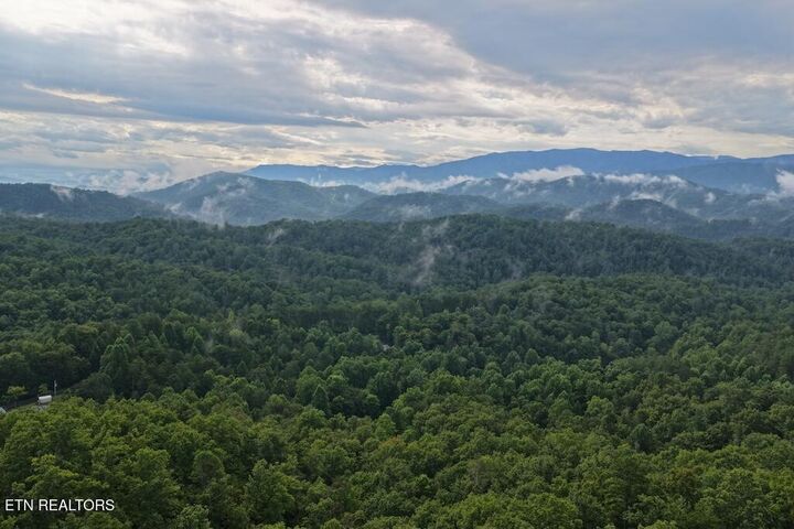 Property Photo:  Lot 43 Shady Oaks Way  TN 37876 