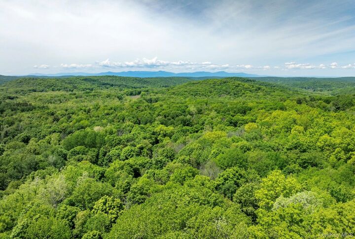 Property Photo: 00 Route 7 NY 12516