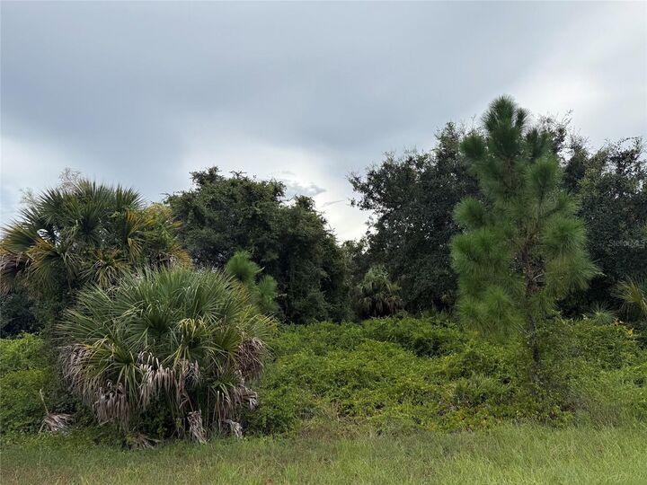 Property Photo: Lot 1 Gaskins Circle FL 34288