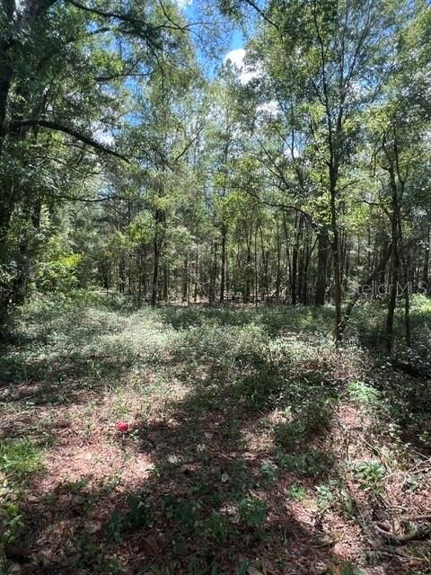Property Photo: 16958 NW US Hwy 441 Highway NW FL 32643