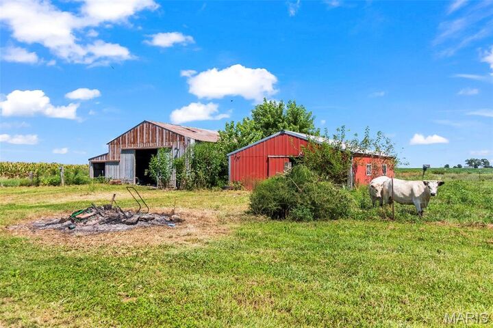 Property Photo:  23946 Grosenheider Road  IL 62056 