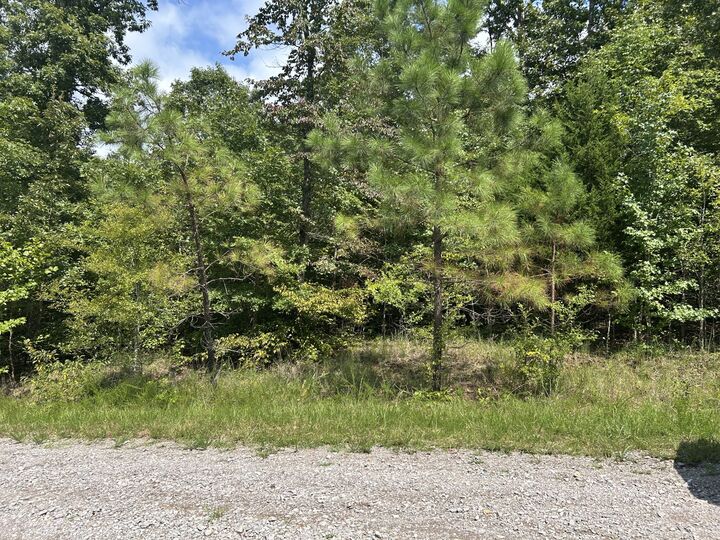 Property Photo:  0 American Way  TN 37175 