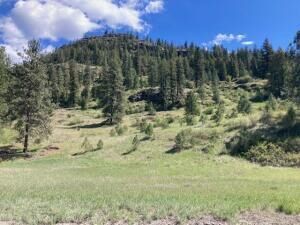 Property Photo:  35xx Rockcut Rd  WA 99141 