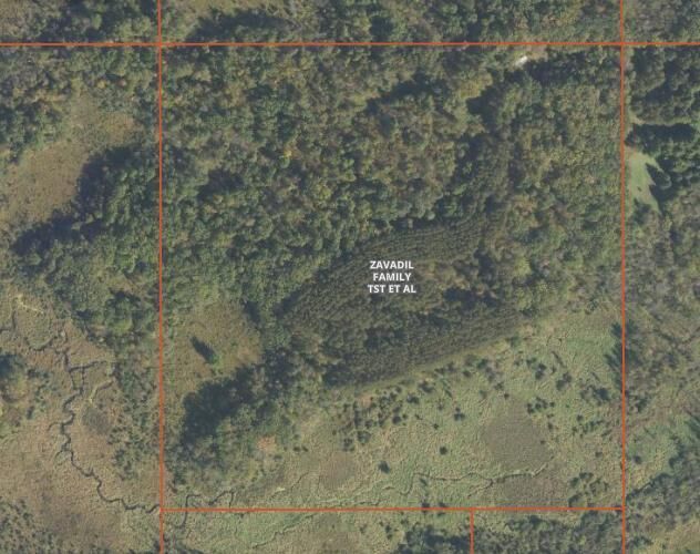 Property Photo:  Tbd 530th Avenue  MN 56527 
