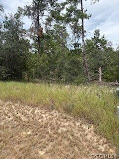 Property Photo:  20 Tall Marigolds Court  FL 34446 
