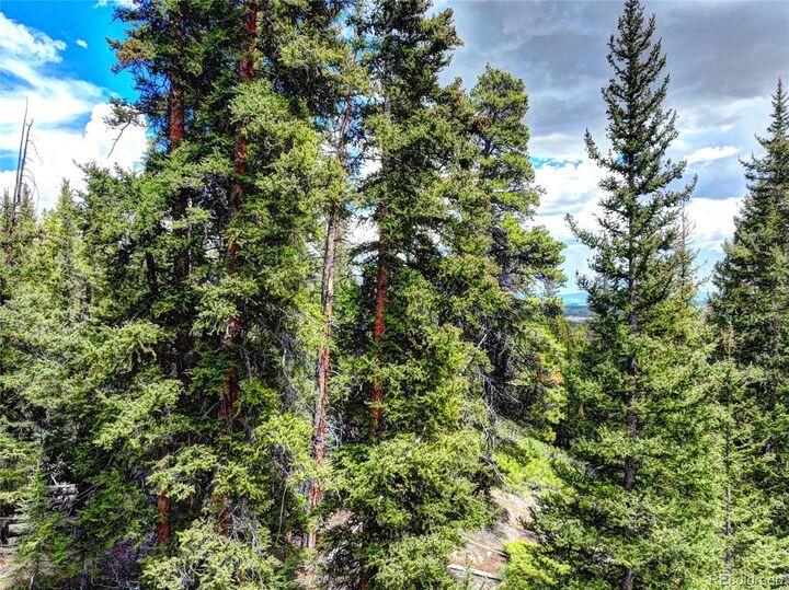 Property Photo:  0 Dry Gulch Road  CO 80440 