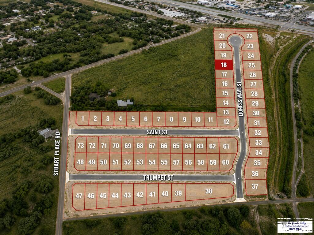 Property Photo:  Lot #18 Lioness Wave St Lot 18  TX 78552 
