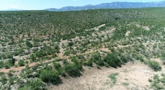 Property Photo: Hwy 77 AZ 85631