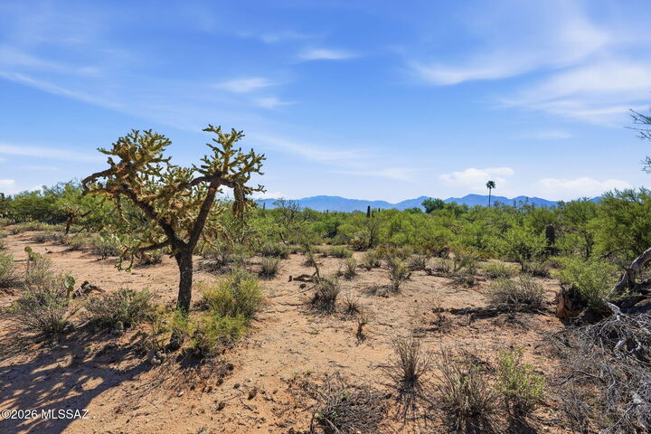 Property Photo:  12680 N Caminito Al Sol  AZ 85755 