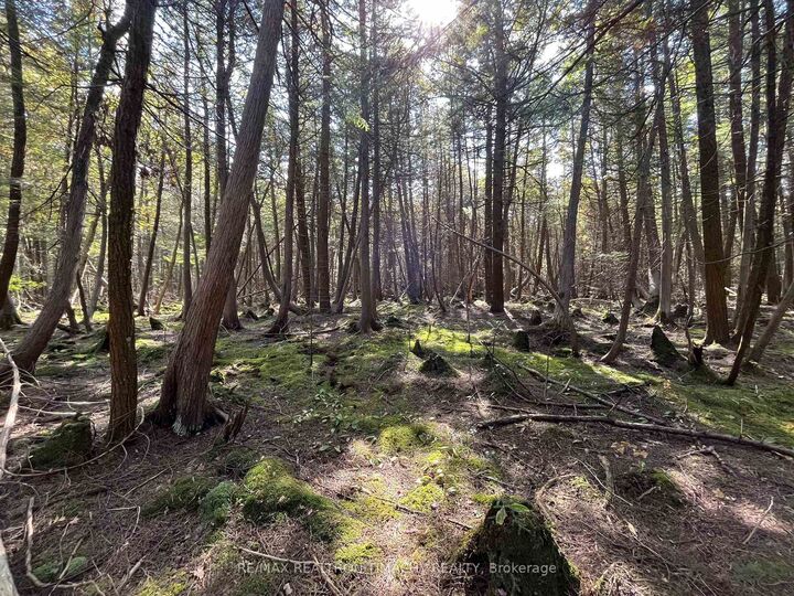 Property Photo:  Lot 25 Champlain Road  ON L9M 0C3 