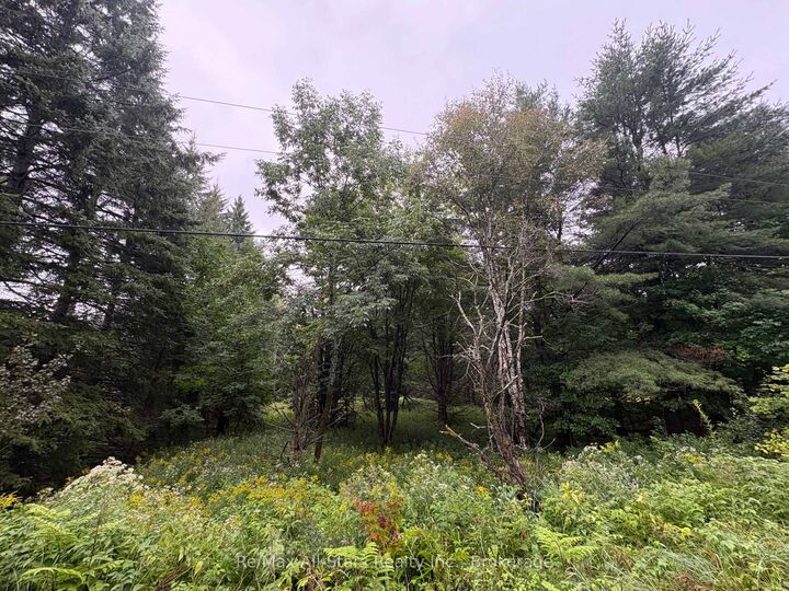 Property Photo:  964 North Mary Lake Road  ON P1H 1S4 