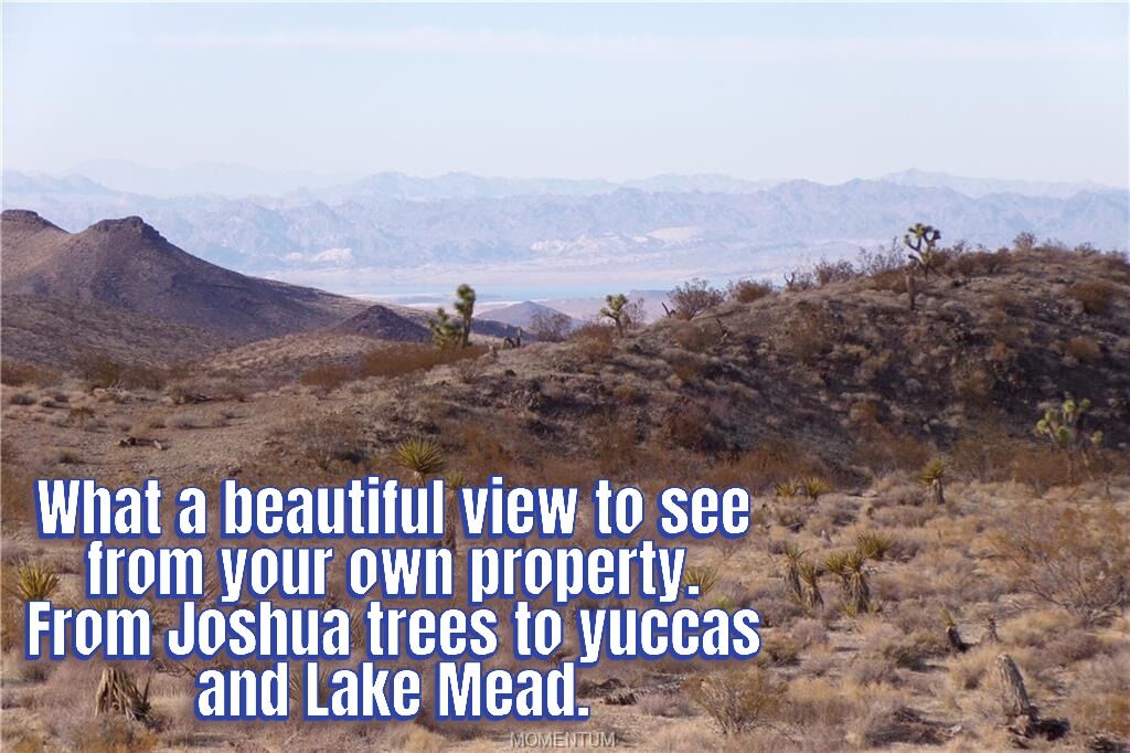 Property Photo: 342-05-029 Near Mohave Dr AZ 86445