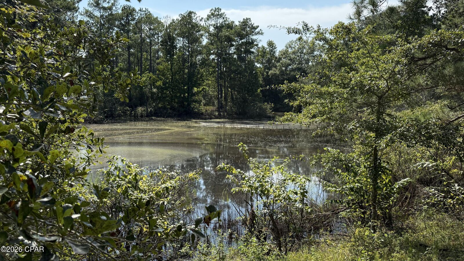 Property Photo:  5110 Highway 273  FL 32426 