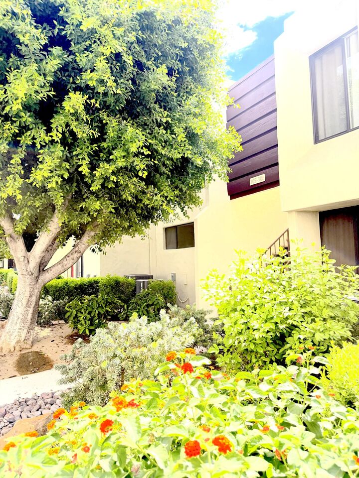 Property Photo:  1655 E Palm Canyon Drive 307  CA 92264 