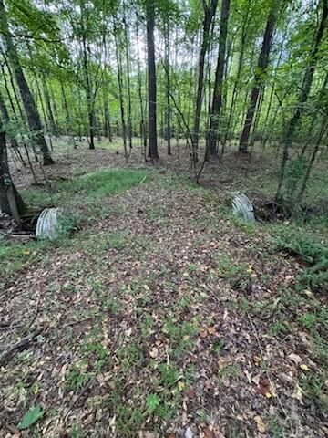Property Photo:  184 McBride Road  GA 30215 