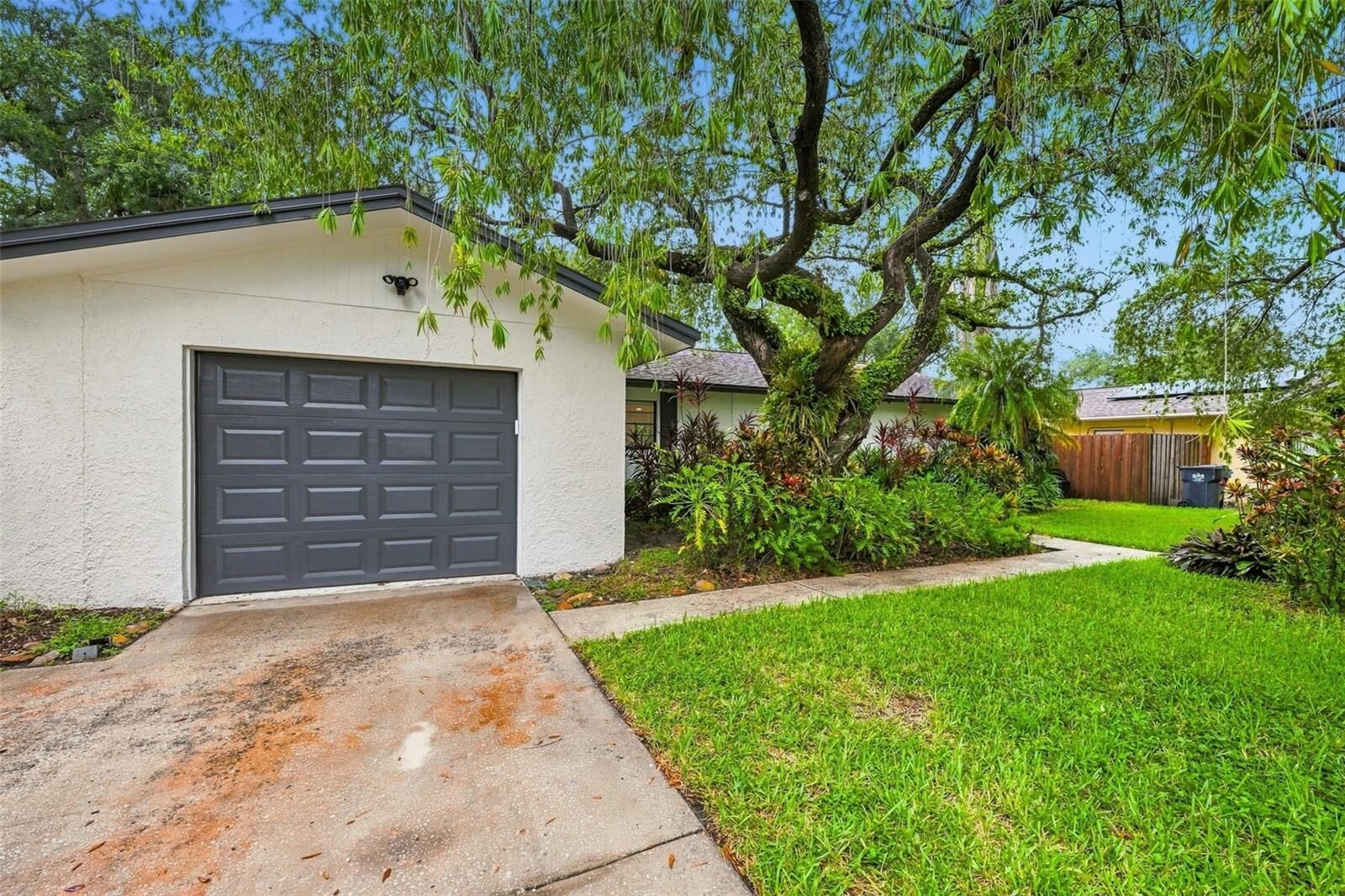 Property Photo: 817 Ambassador Loop FL 33613