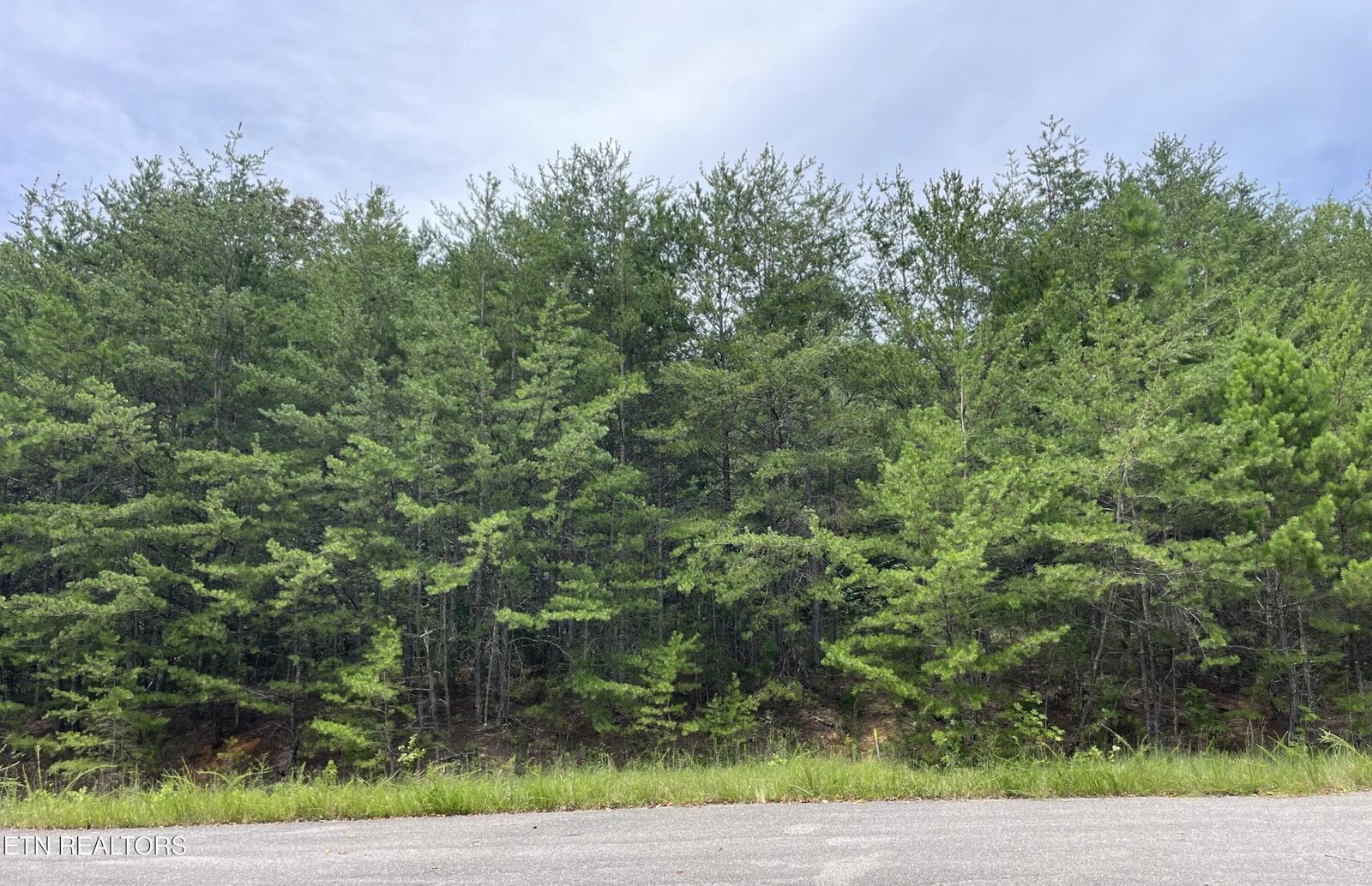 Property Photo: 742 White Dogwood Rd TN 37722