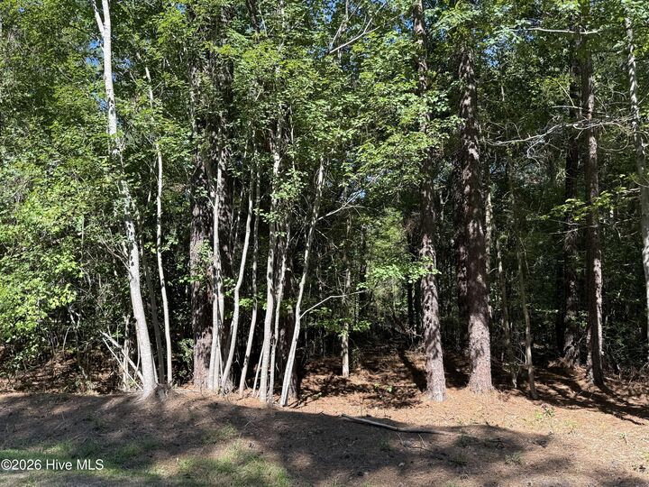 Property Photo:  7657 Main Street  NC 27376 