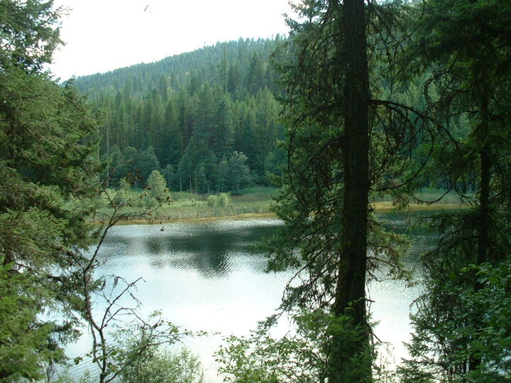 Property Photo:  49xx Sheep Creek Rd  WA 99157 