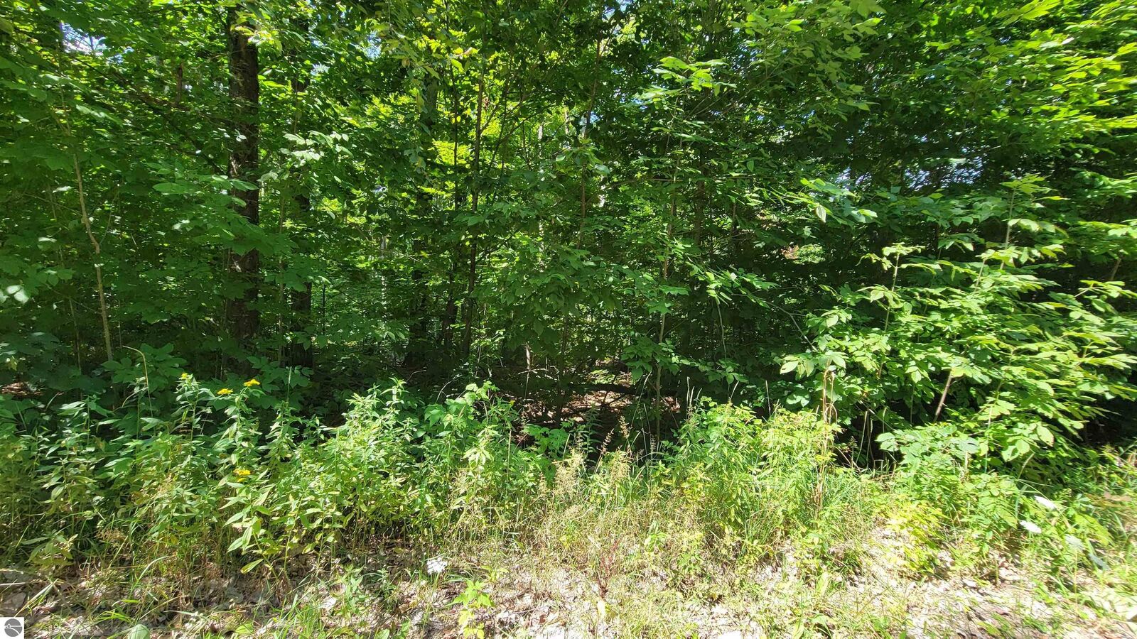 Property Photo: Vl Beechnut Lane MI 49799