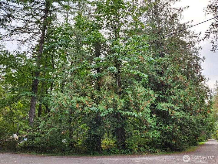 Property Photo: 19504 River Place WA 98294