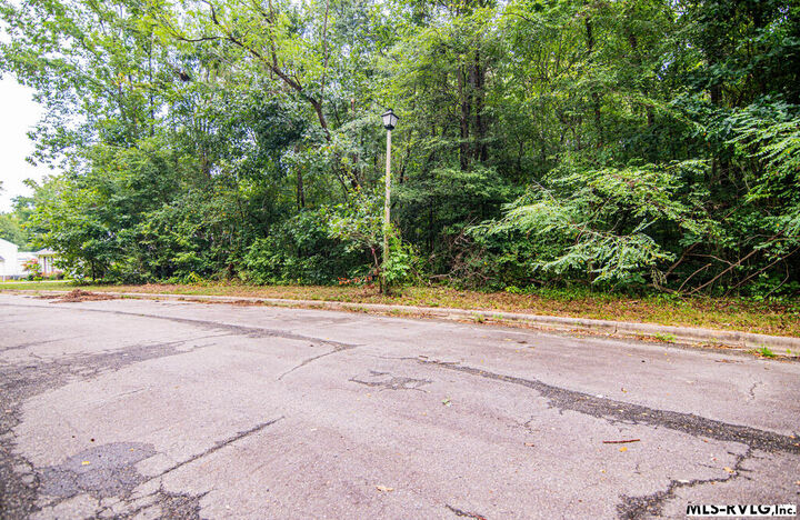 Property Photo:  Lot # 12 Downs Brook Dr  NC 27870 
