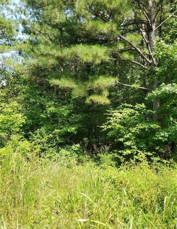 Property Photo:  000 Dean Road  GA 30104 