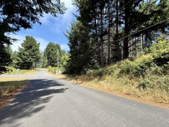 Property Photo:  117 Ridge Road  CA 95589 