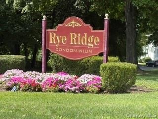 Property Photo: 19 Avon Circle D NY 10573