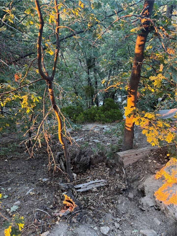 Property Photo:  0 Ridge Dr  CA 92382 